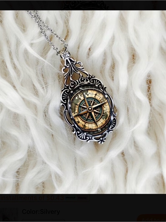 Jewelry - ⭐️ Compass Pendant Necy